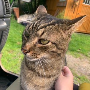 Meet your Posher, Breeze